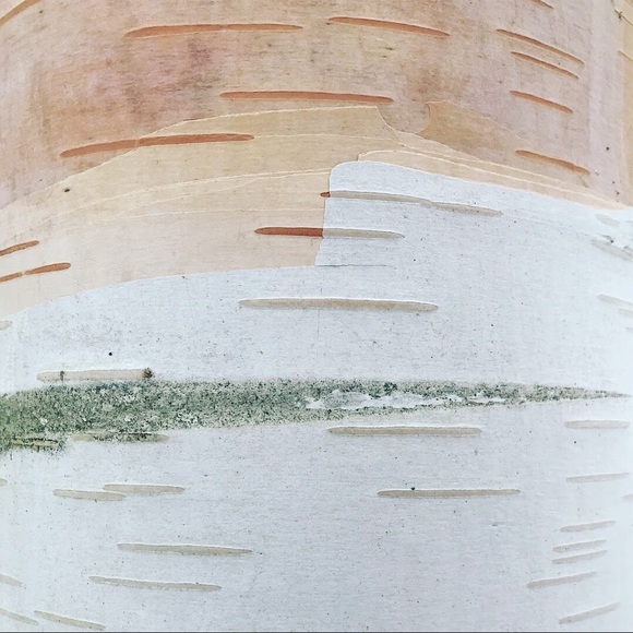 Meet your Posher, Maggie - Picture 1 of 1